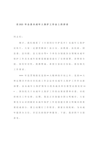 在2023年全县未成年人保护工作会上的讲话