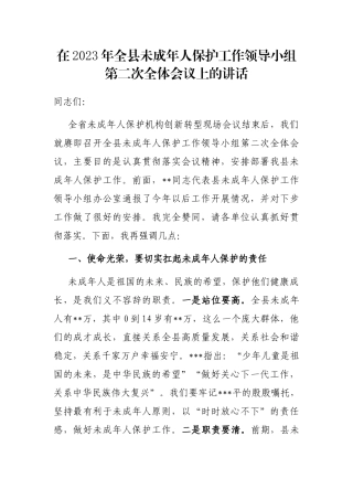 在2023年全县未成年人保护工作领导小组第二次全体会议上的讲话
