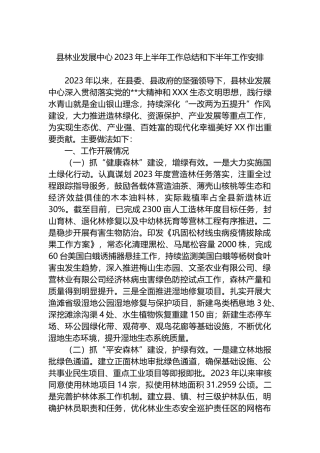 县林业发展中心2023年上半年工作总结和下半年工作安排
