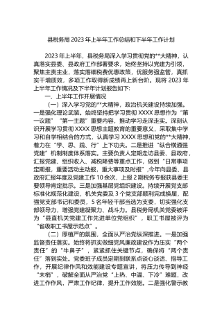县税务局2023年上半年工作总结和下半年工作计划