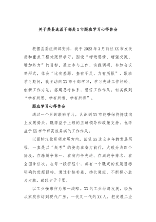 县选派干部赴市跟班学习心得体会