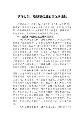 乡党委巡察整改进展情况的通报
