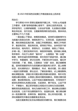 在2023年阶段性总结暨工作推进座谈会上的讲话
