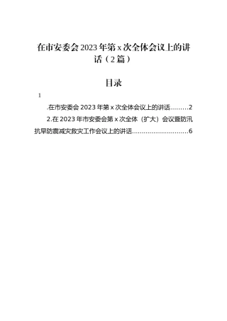 在市安委会2023年第次全体会议上的讲话（2篇）