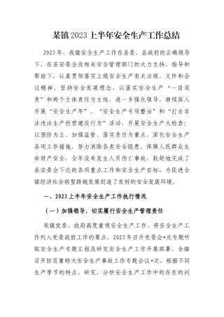 镇2023上半年安全生产工作总结