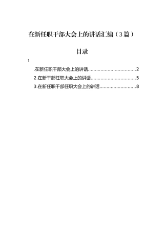 在新任职干部大会上的讲话汇编（3篇）