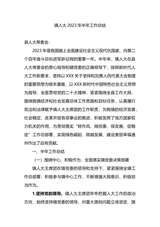 镇人大2023年上半年工作总结