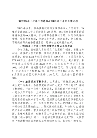镇2023年上半年工作总结与2023年下半年工作计划