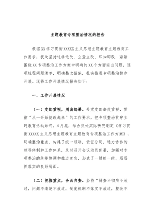 主题教育专项整治情况的报告