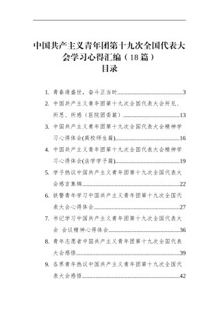 中国共产主义青年团第十九次全国代表大会学习心得汇编（18篇）