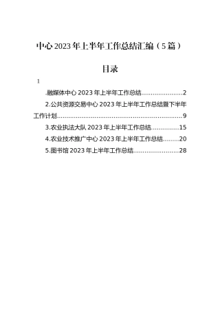 中心2023年上半年工作总结汇编（5篇）