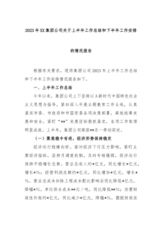 2023年集团公司上半年工作总结和下半年工作安排的情况报告