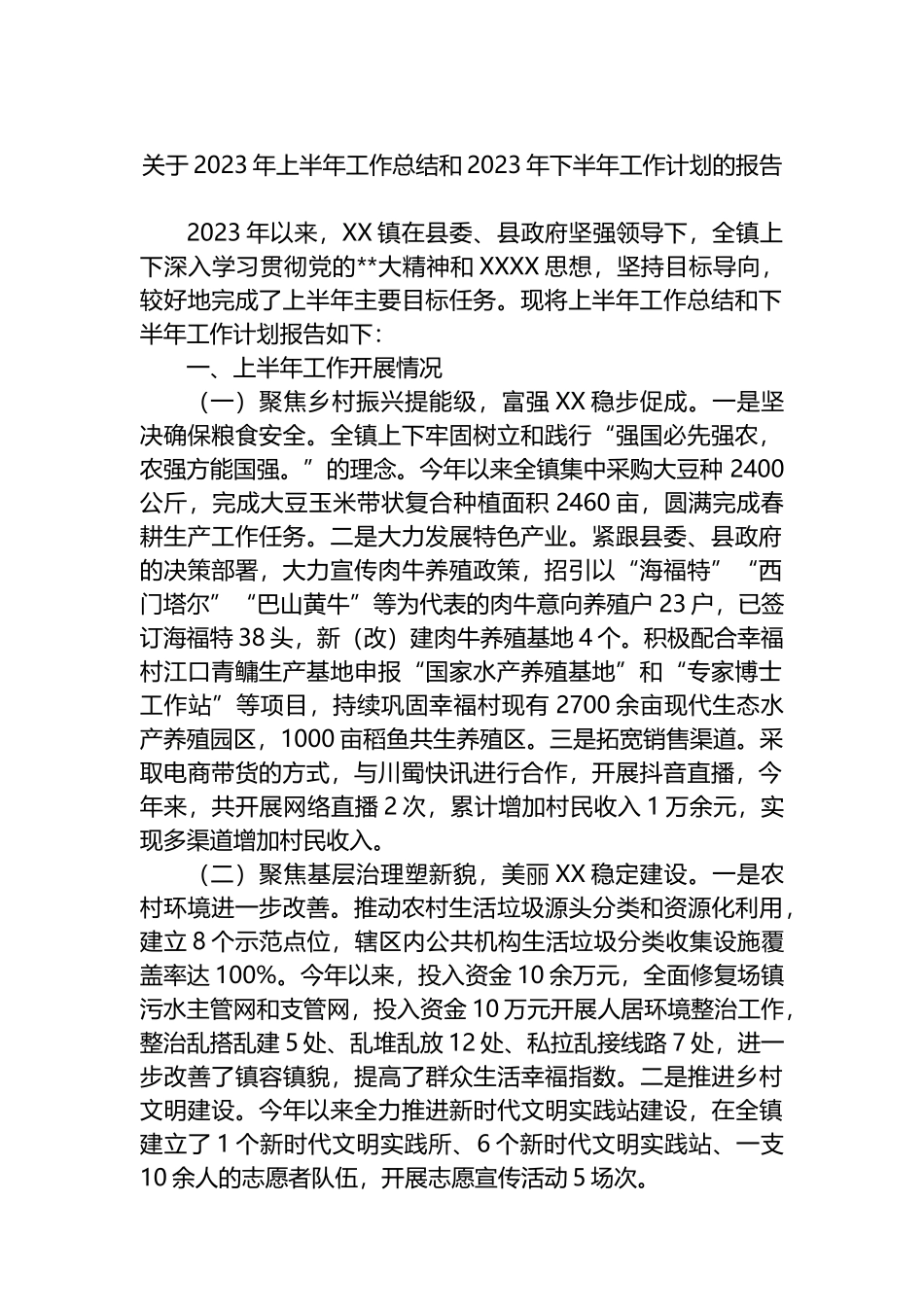 2023年上半年工作总结和2023年下半年工作计划的报告_第1页