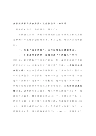 分管副县长在县政府第2次全体会议上的讲话