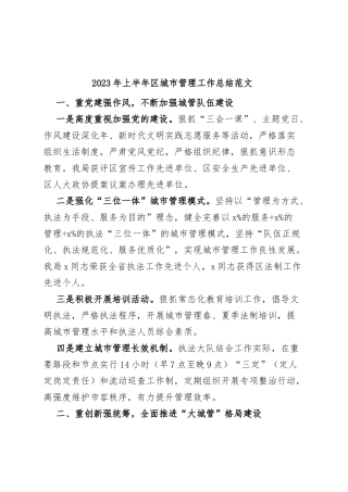 2023年上半年区城市管理工作总结城管局汇报报告