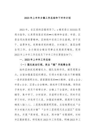 2023年上半年乡镇工作总结和下半年计划