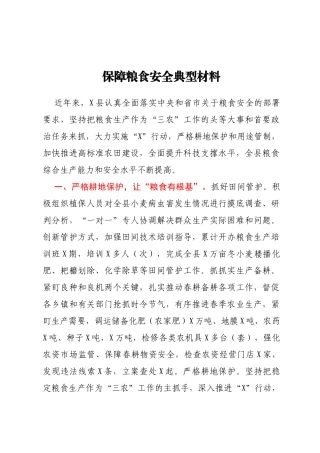 保障粮食安全典型材料（百）