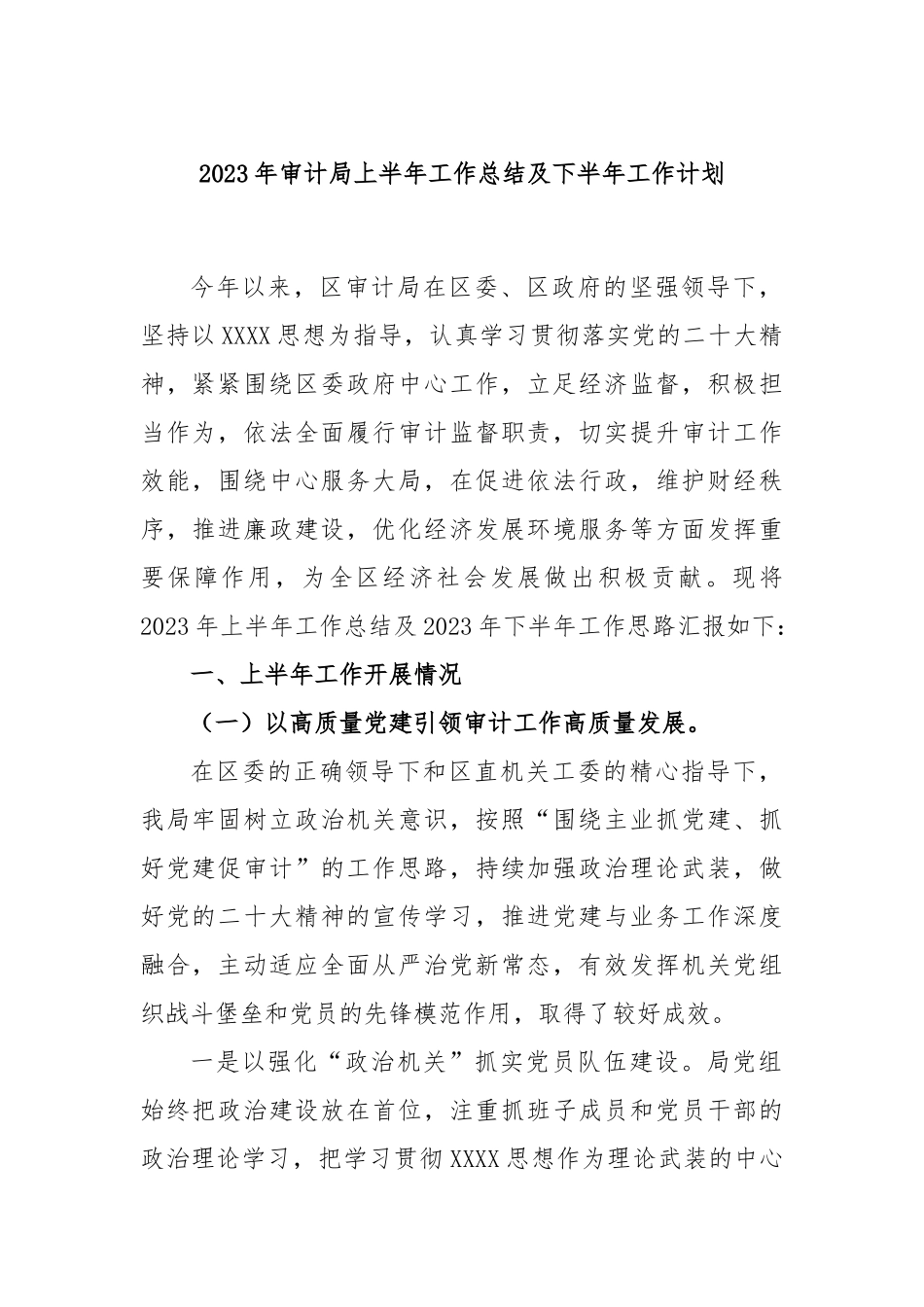 2023年审计局上半年工作总结及下半年工作计划_第1页
