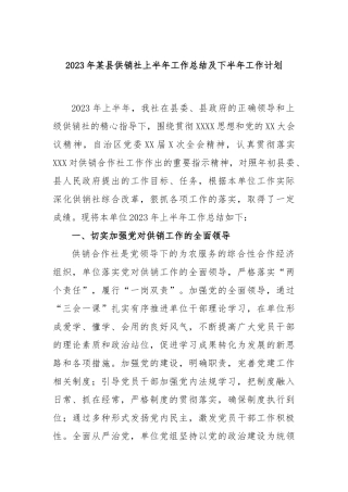 2023年县供销社上半年工作总结及下半年工作计划