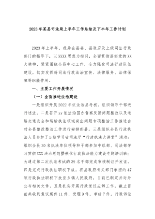 2023年县司法局上半年工作总结及下半年工作计划