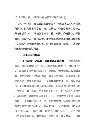 2023年乡镇上半年工作总结及下半年工作计划