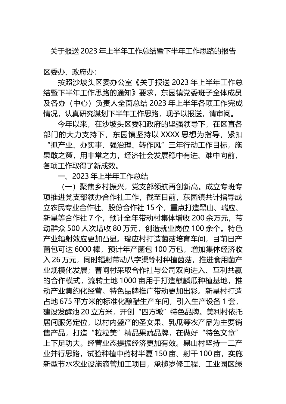 报送2023年上半年工作总结暨下半年工作思路的报告_第1页