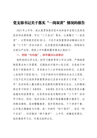 党支部书记关于落实一岗双责情况的报告