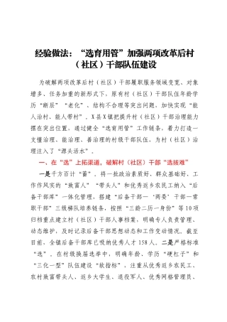 工作经验总结：“选育用管”加强两项改革后村（社区）干部队伍建设