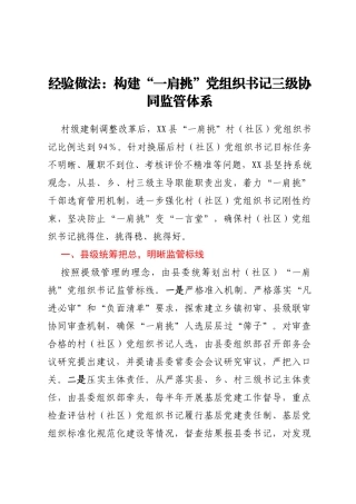 工作经验总结：构建村（社区）“一肩挑”党组织书记三级协同监管体系