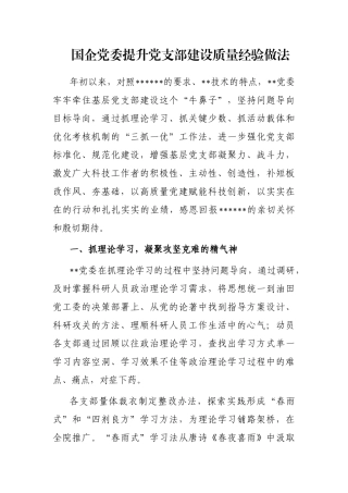 国企党委提升党支部建设质量经验做法
