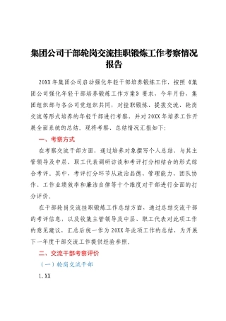 国企干部轮岗交流挂职锻炼工作考察情况总结报告