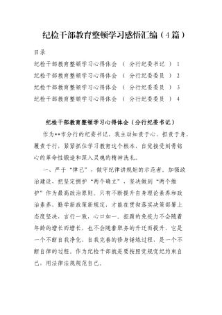 纪检干部教育整顿学习感悟汇编（4篇）