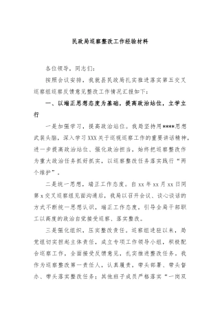 民政局巡察整改工作经验材料