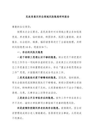 民政局意识形态领域风险隐患研判报告