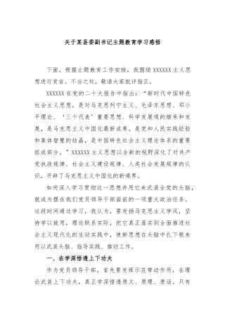 某县委副书记主题教育学习感悟