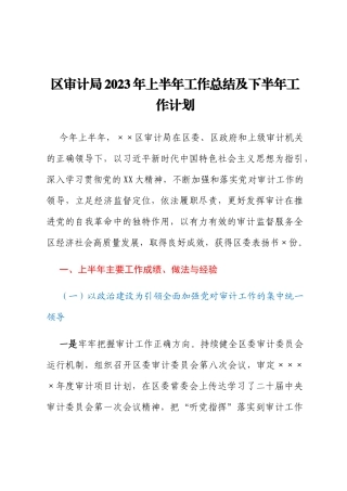区审计局2023年上半年工作总结及下半年工作计划