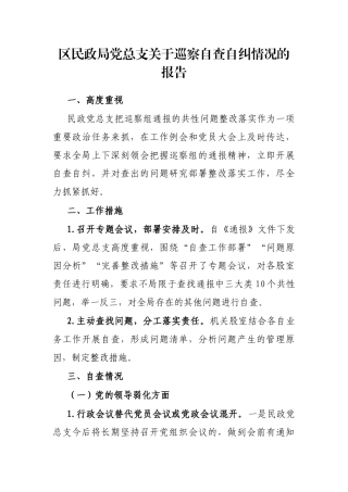 区民政局党总支巡察自查自纠情况的报告