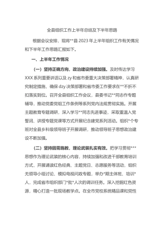 全县组织工作上半年总结及下半年思路
