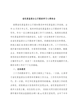 省纪委监委办公厅跟班学习心得体会