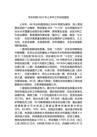 市水利局2023年上半年工作总结报告