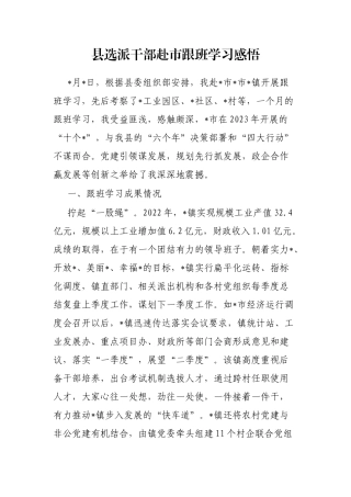 县选派干部赴市跟班学习感悟