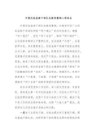 开展纪检监察干部队伍教育整顿心得体会