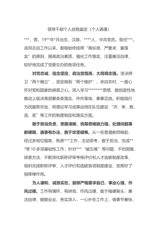领导干部个人自我鉴定（个人画像）