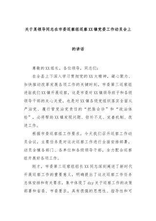 领导同志在市委巡察组巡察镇党委工作动员会上的讲话