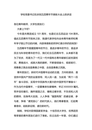 学校党委书记在庆祝五四青年节表彰大会上的讲话