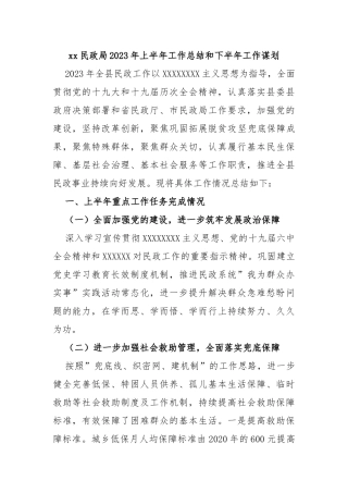 民政局2023年上半年工作总结和下半年工作谋划