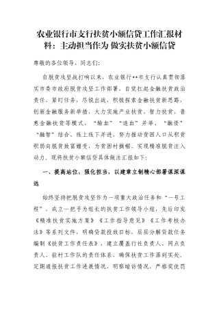 农业银行市支行扶贫小额信贷工作汇报材料：主动担当作为 做实扶贫小额信贷
