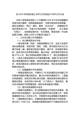 区2023年河湖长制上半年工作总结及下半年工作计划