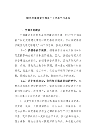 2023年村党支部上半年工作总结
