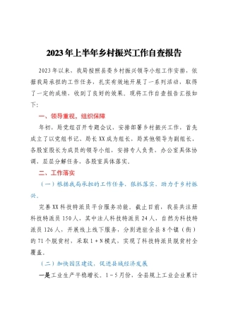 2023年上半年乡村振兴工作自查报告